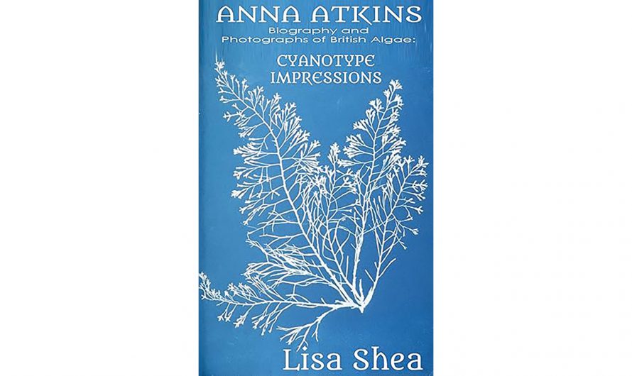 Anna Atkins Biography and Photographs of British Algae: Cyanotype Impressions