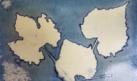Autumn Leaves Cyanotype by Lisa Shea