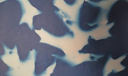 Autumn Oak Leaves Cyanotype