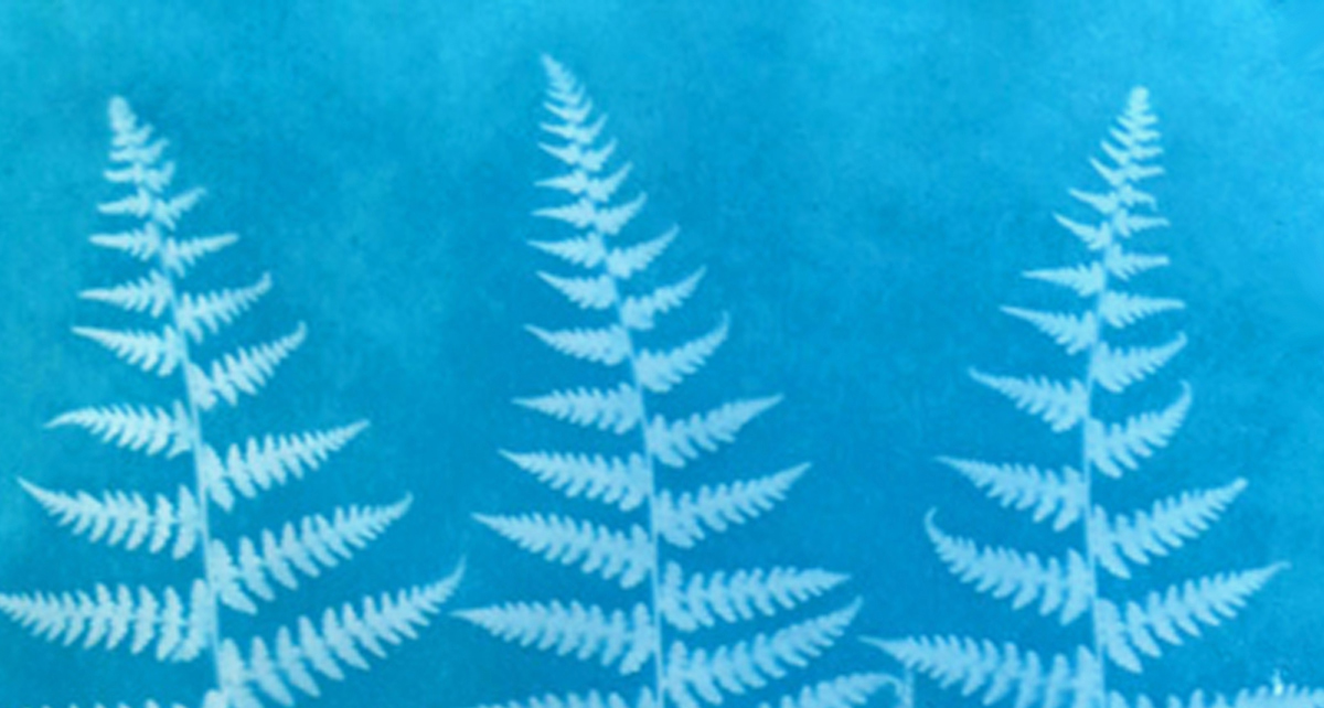 Three Ferns in Cyan Shade Cyanotype