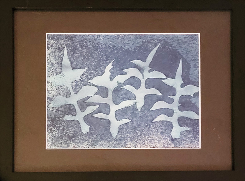 Four Leaves Spray Cyanotype