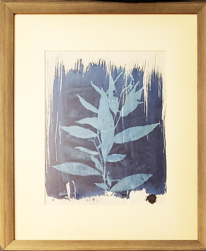 Wildflower Cyanotype with Brush Edges